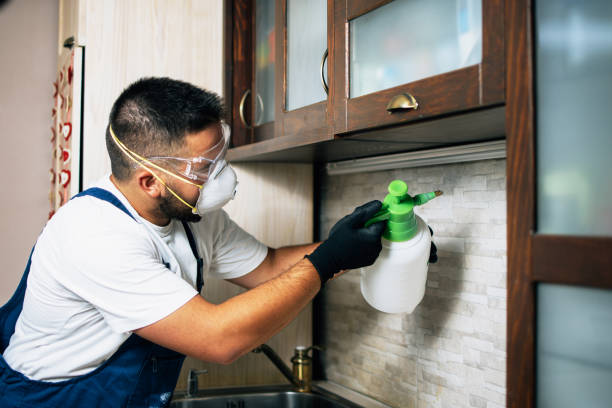 Wasp Removal Services in Manchester, OH