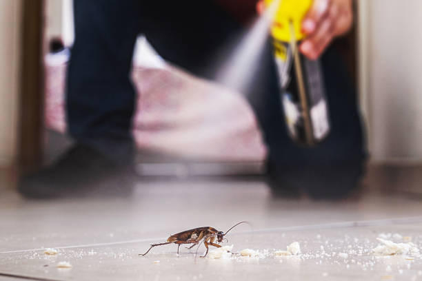 Pest Prevention Services in Manchester, OH